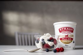 Organic Greek Yogurt