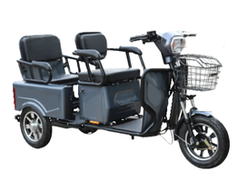 One of our Pushpak e-trikes