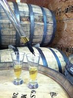 barrel tasting of cider