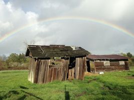 the tilted shed