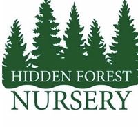 Hidden Forest Logo